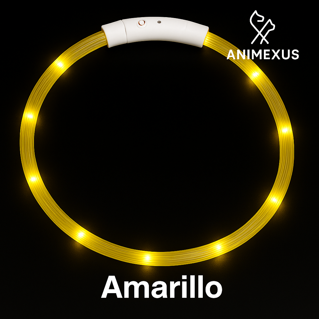 NightGlow — Collar LED recargable