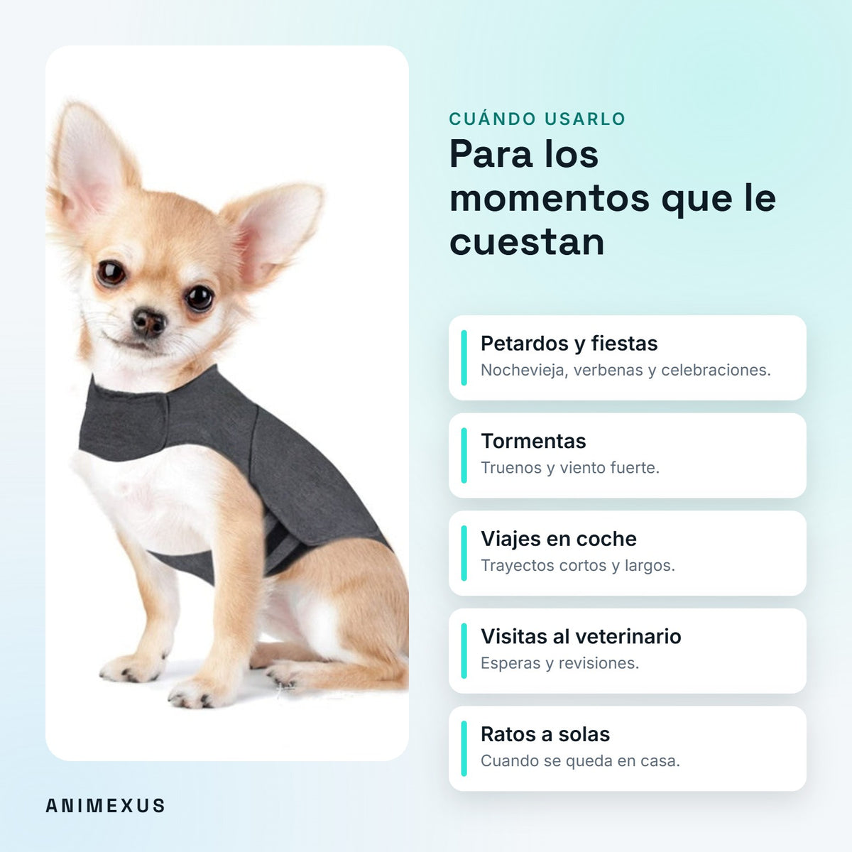 Cuándo usar el chaleco calmante CalmVest: petardos, tormentas, viajes en coche, veterinario y ratos a solas
