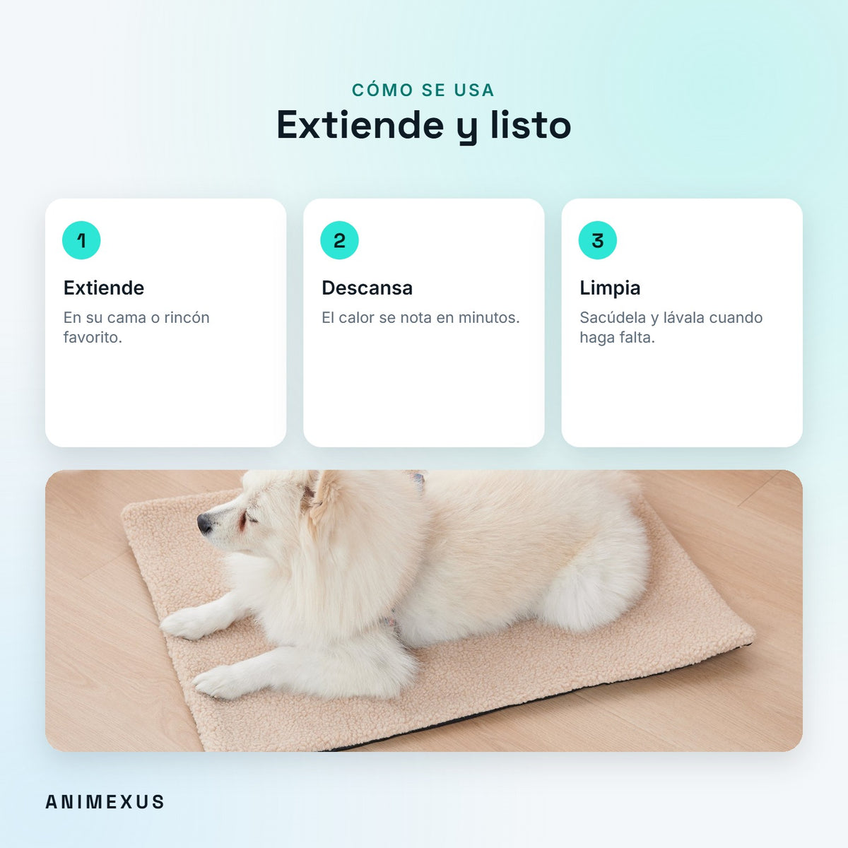 Cómo se usa WarmPad: extender, descansar y limpiar