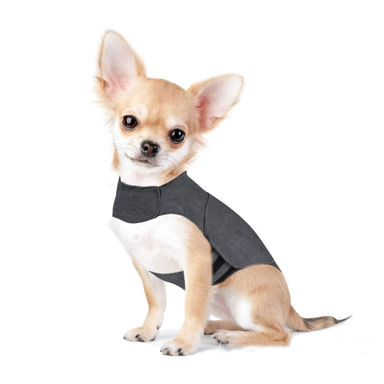 Perro pequeño con el chaleco calmante CalmVest