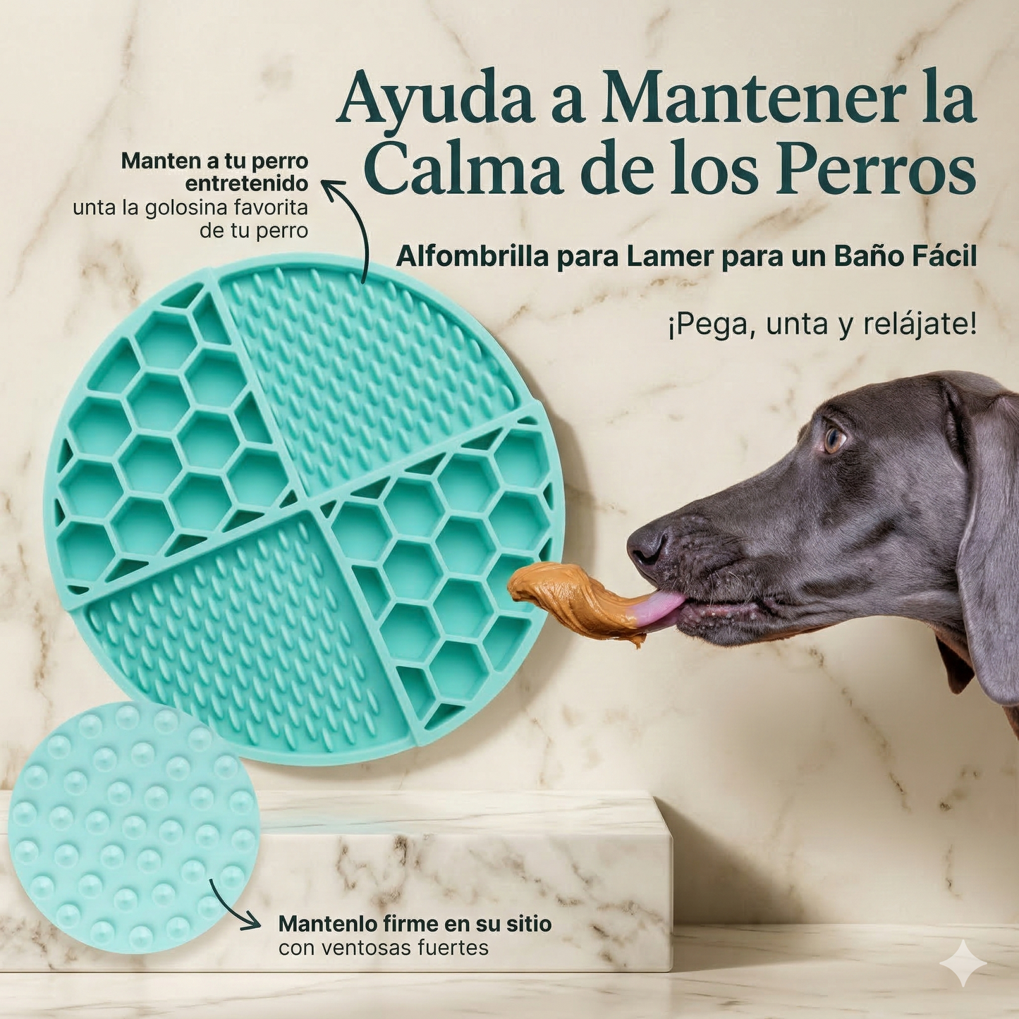 Perro lamiendo un premio de una alfombrilla lick mat de silicona verde menta. Detalle de las ventosas de alta fijación que ayudan a mantener al perro entretenido y tranquilo durante el baño.