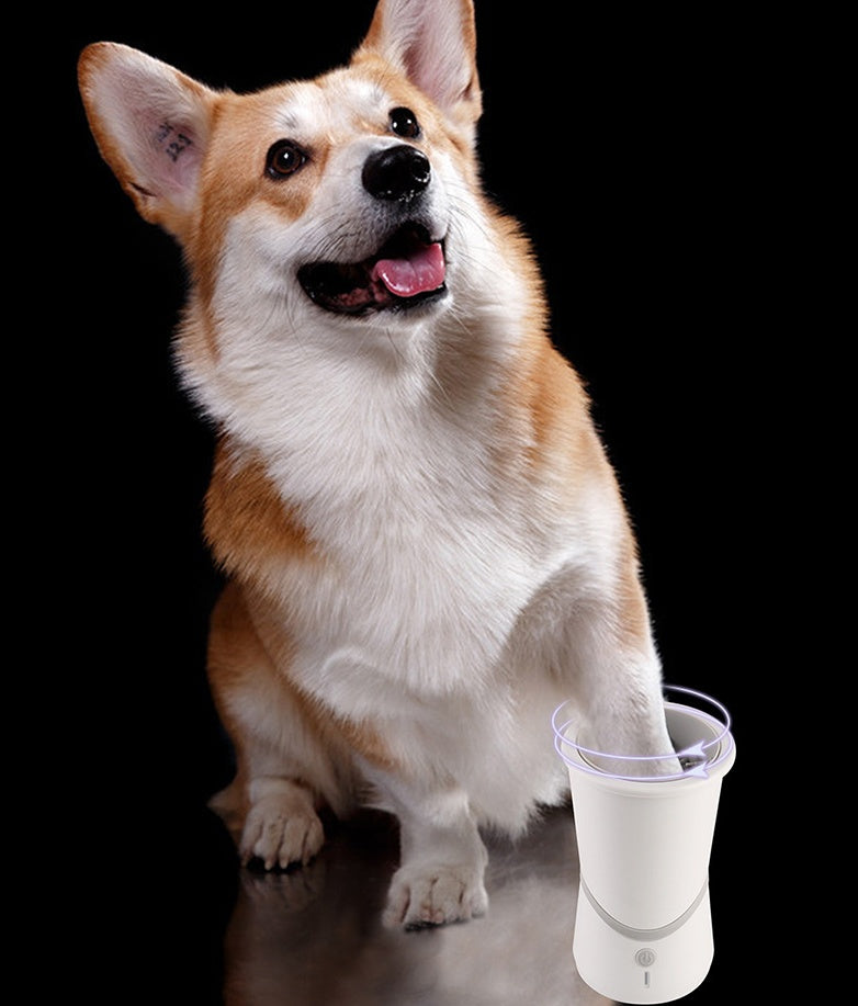 Perro usando el limpiador automático de patas Animexus CleanPaws Pro™, con cerdas de silicona giratorias 360° que eliminan suciedad, barro y polvo de forma rápida y sin esfuerzo, manteniendo el hogar limpio después de cada paseo.