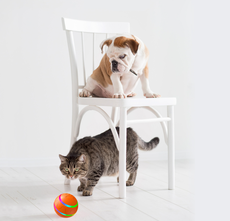 Gato jugando y perro observando la pelota inteligente Animexus Playball™ con luces LED interactivas, ideal para estimular el ejercicio, reducir la ansiedad y fomentar el juego activo en mascotas incluso cuando están solas.