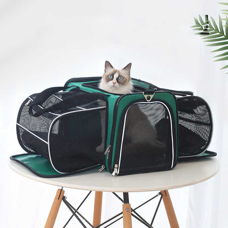 Gato dentro de la mochila cápsula expansible Animexus® TravelBubble, con estructura ventilada de malla y diseño panorámico que reduce el estrés y mejora la comodidad durante viajes en transporte público, coche o excursiones.
