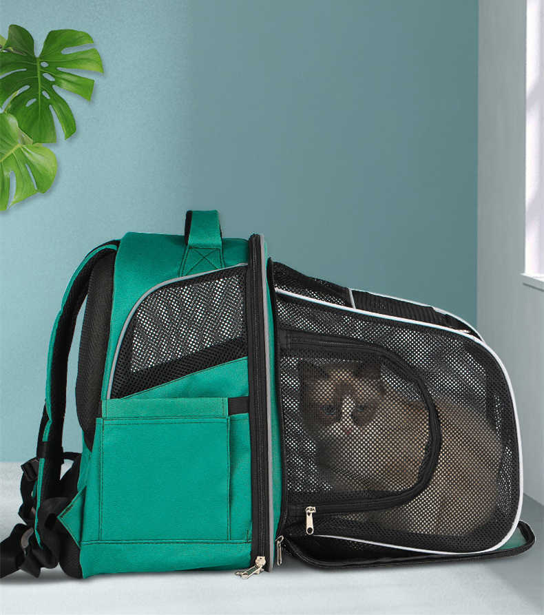Gato descansando dentro de la mochila cápsula ventilada Animexus® TravelBubble, con estructura ergonómica, cremalleras de seguridad y paneles de malla transpirable que ofrecen confort, visibilidad y flujo de aire durante los viajes.