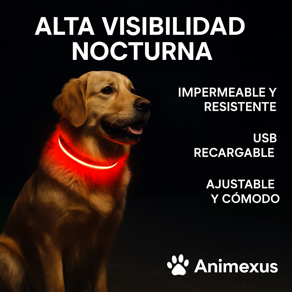 Animexus® NightGlow™ – Collar LED Recargable