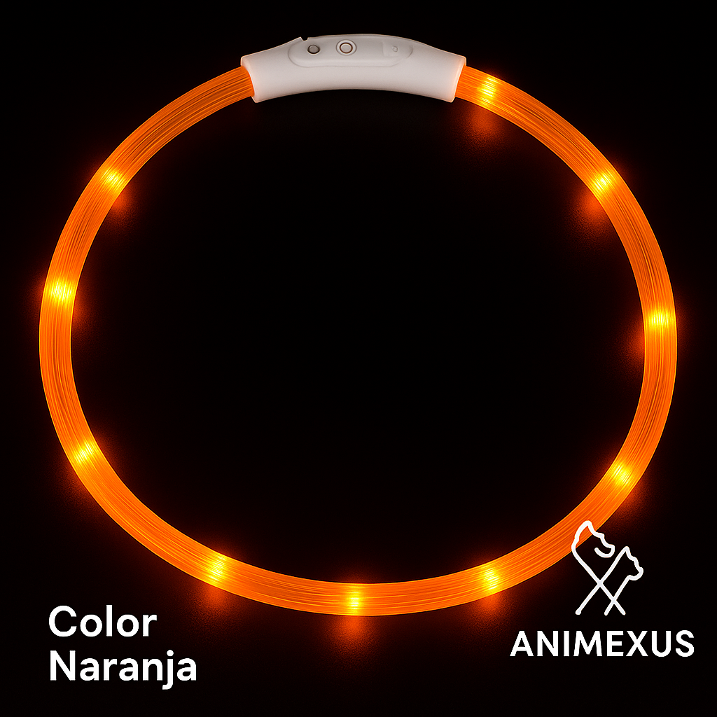 Animexus® NightGlow™ – Collar LED Recargable