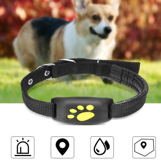 Collar inteligente Animexus Secure con localizador GPS resistente al agua, diseñado para rastrear a tu perro en tiempo real y enviar alertas de zona segura directamente al móvil.