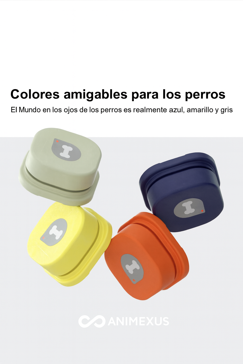 El mundo en los ojos de los perroes es realmente azul, amarillo y gris