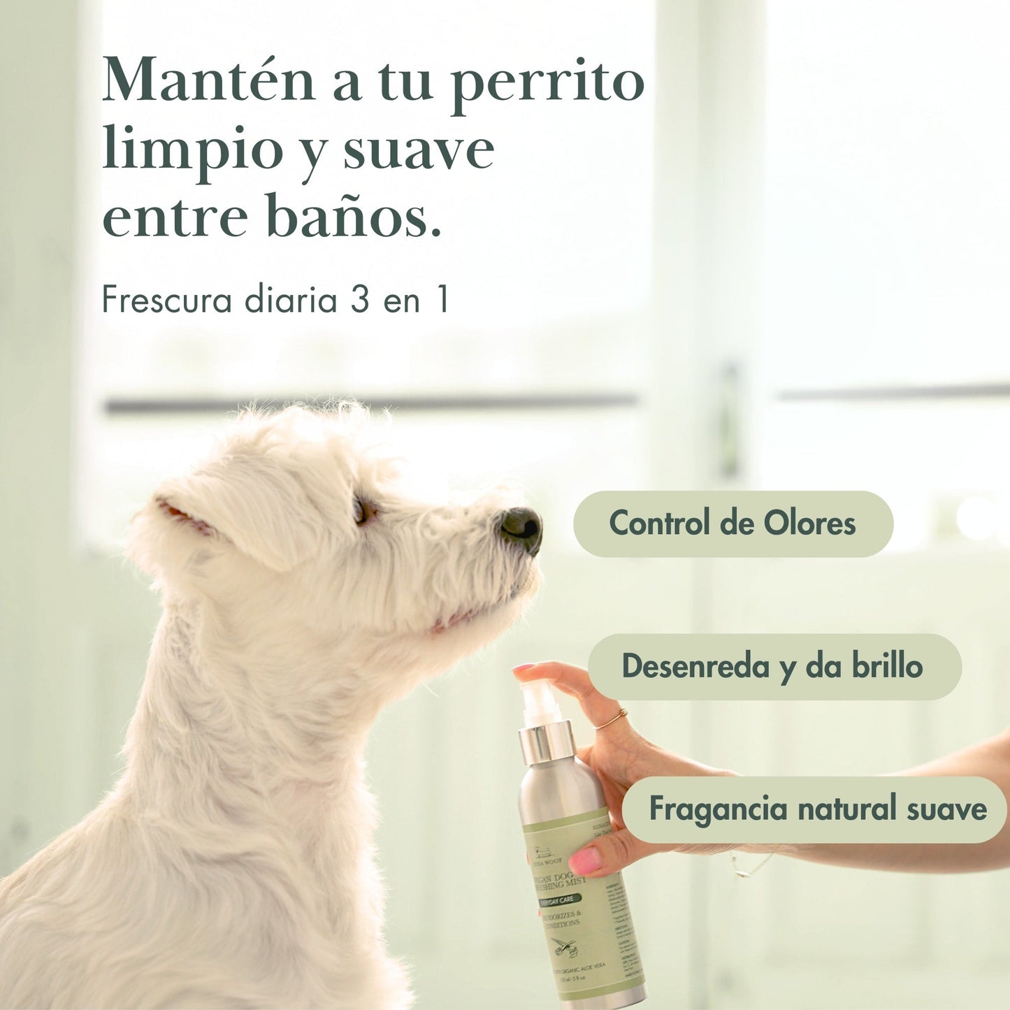 FreshMist — Spray desodorizante para perro entre baños (150 ml)