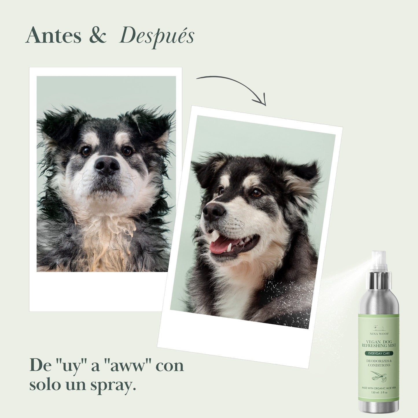 FreshMist — Spray desodorizante para perro entre baños (150 ml)