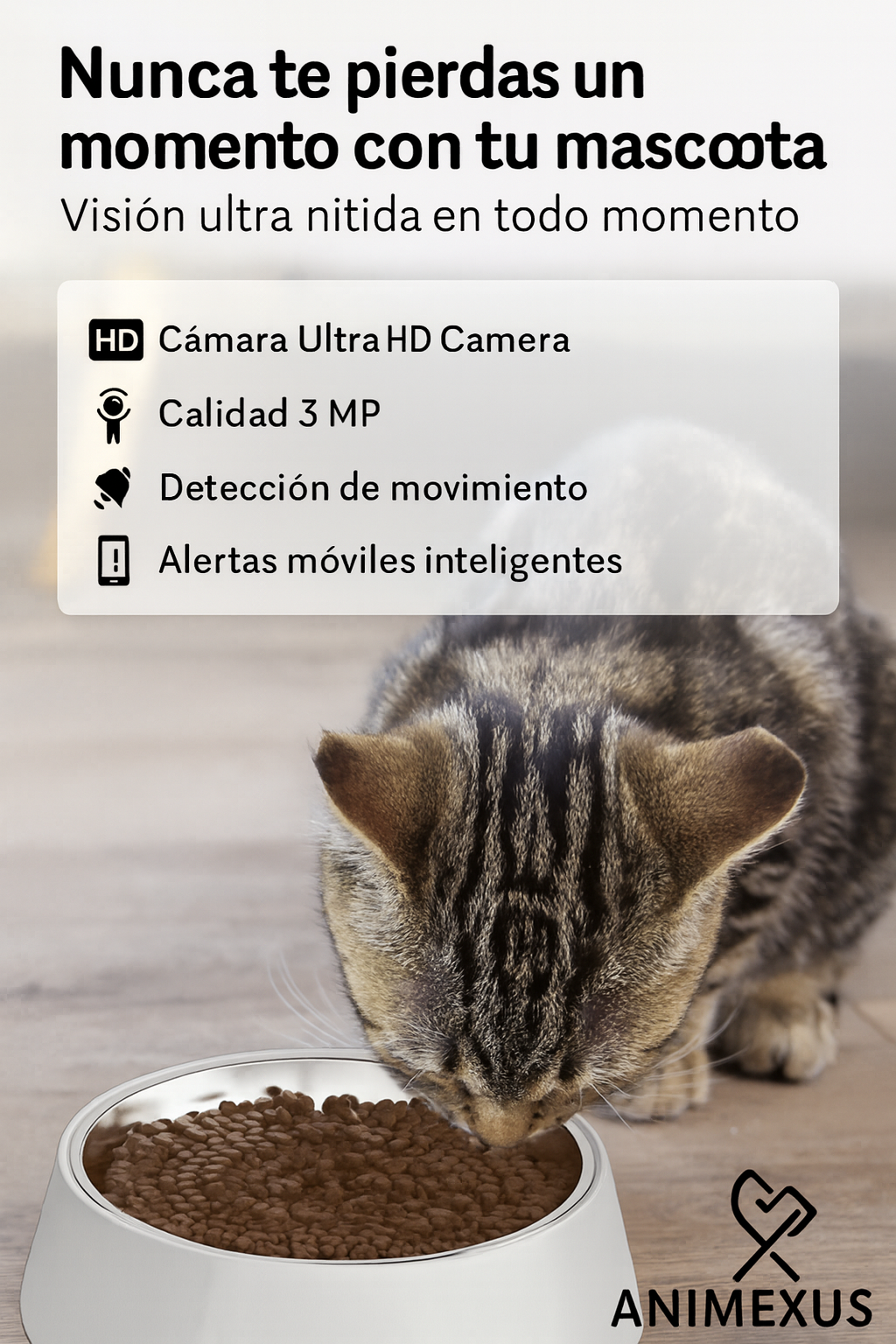 Gato comiendo del cuenco de la feeder pro cam con sus características