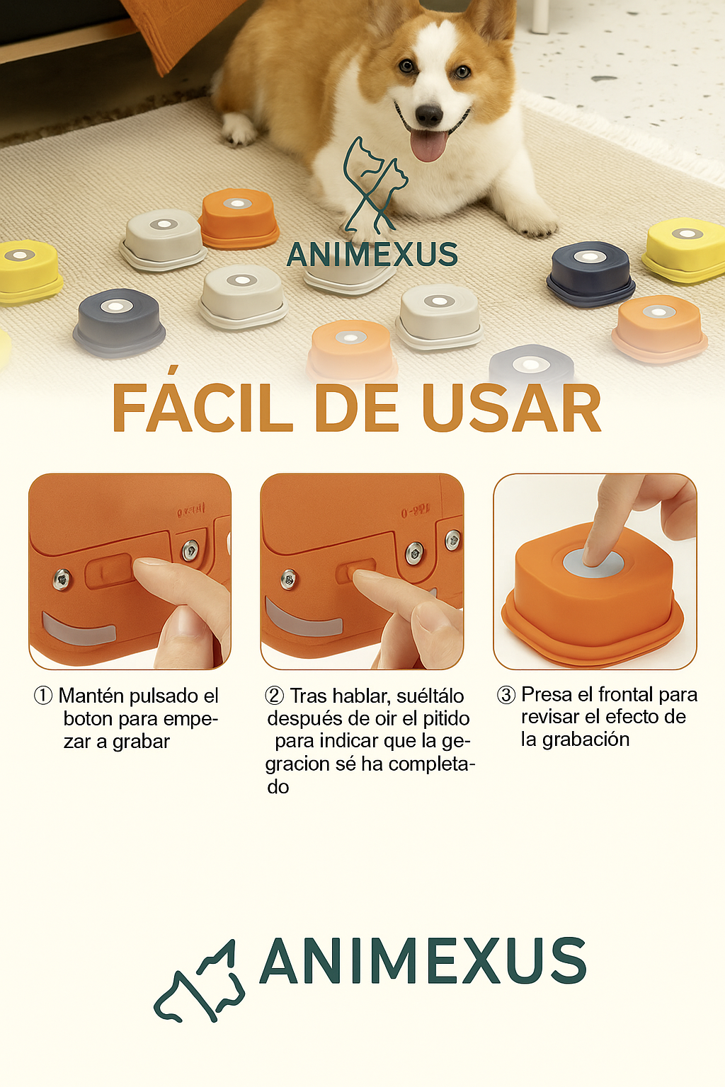 Animexus Manual de uso TalkConnect