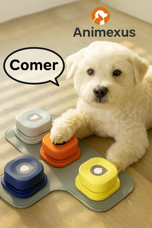 Perro comunicándose con botón parlante que dice “comer” – producto de entrenamiento inteligente para mascotas Animexus TalkConnect™