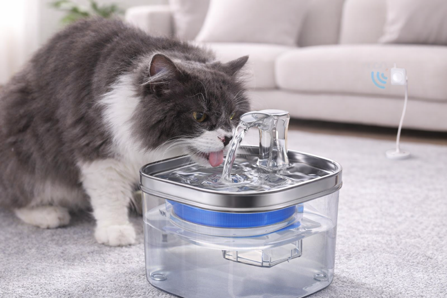 Gato bebiendo en SmartFlow+ con sensor, fuente automática de agua con flujo en movimiento