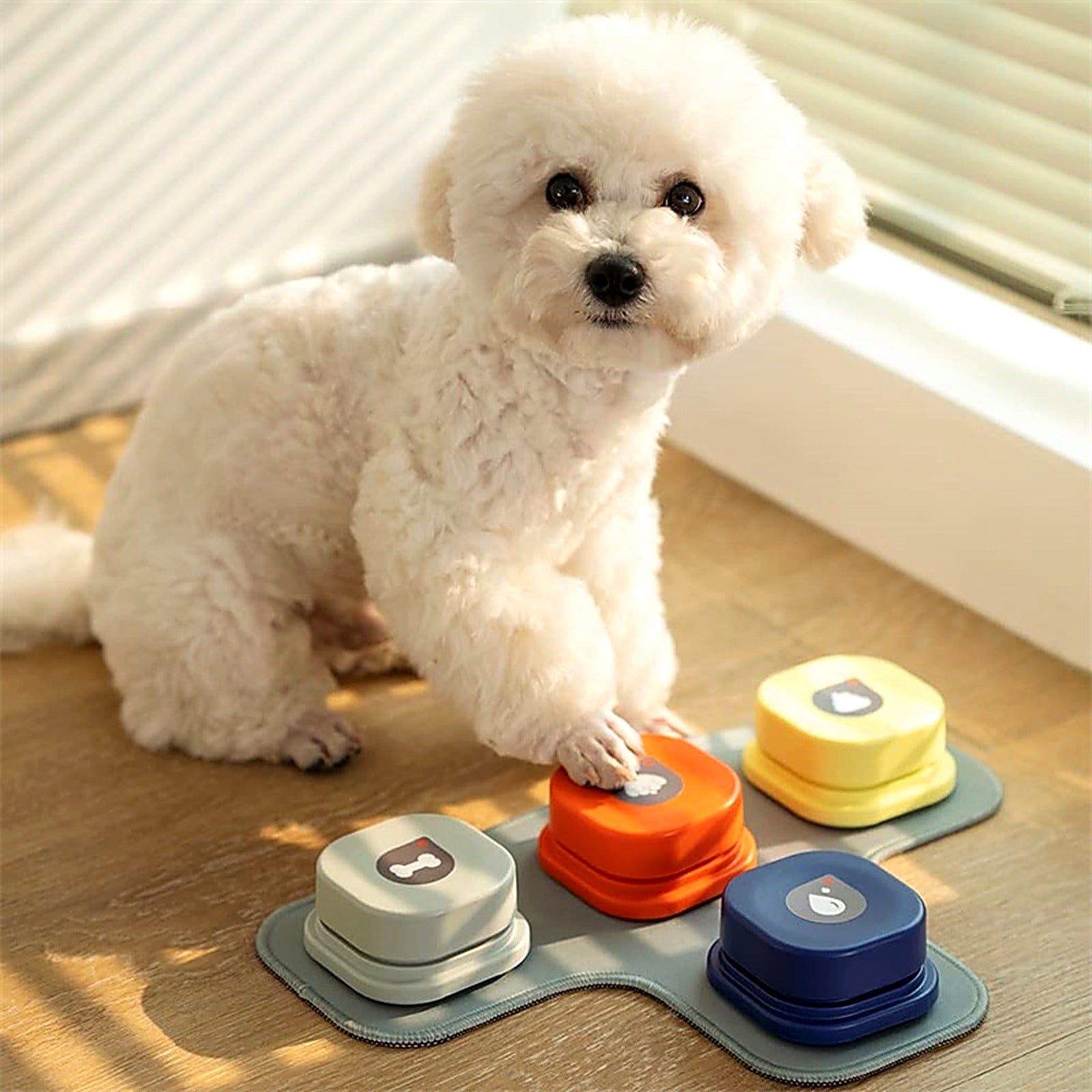 Perro usando botones grabables TalkConnect sobre alfombrilla en casa