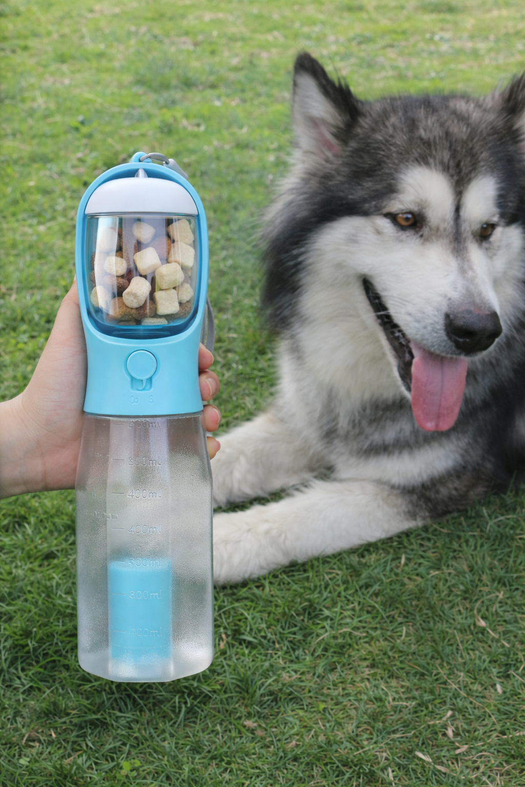 TravelBottle 3-en-1 turquesa con snacks en el compartimento superior junto a un perro en césped