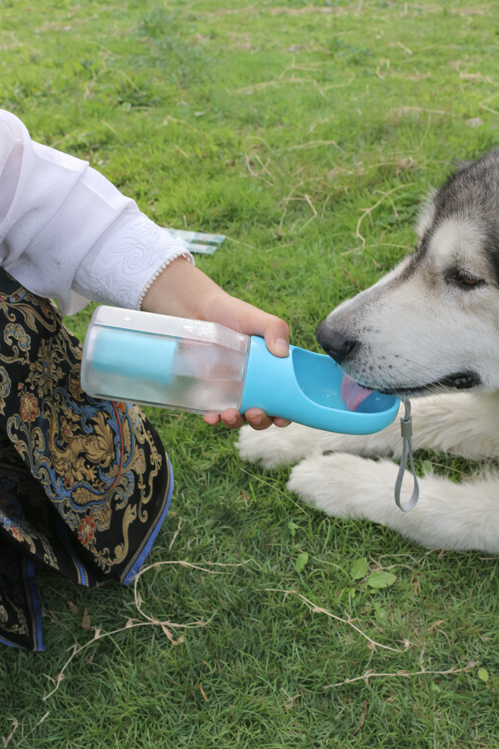 Perro bebiendo agua con TravelBottle 3-en-1 turquesa durante un paseo al aire libre