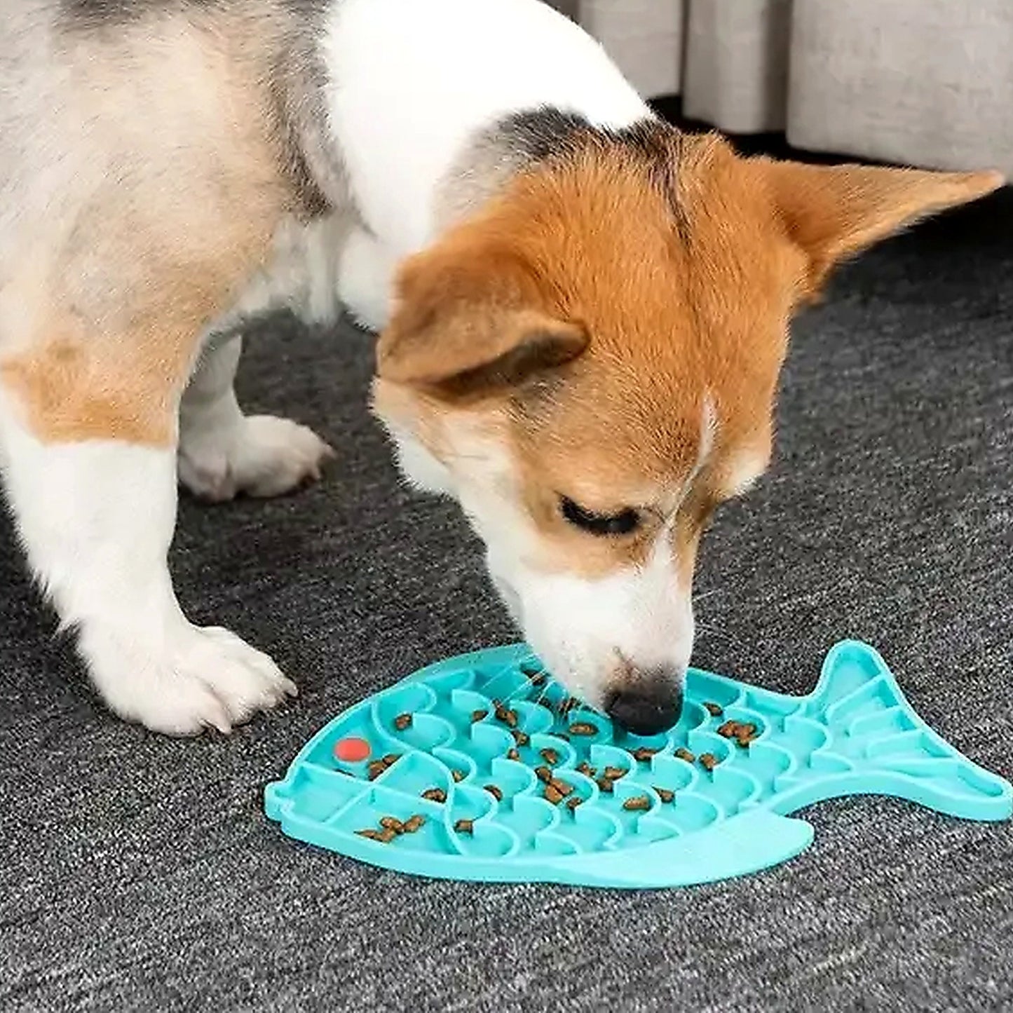 Perro usando una alfombrilla para lamer de silicona (azul) con alimento seco, en interior.