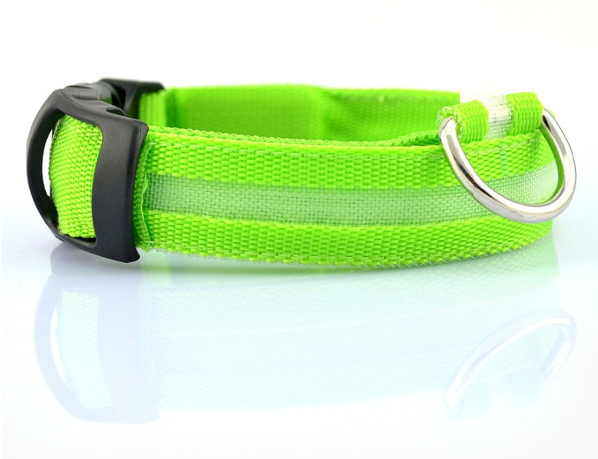 Collar LED recargable USB para perro de nailon en color verde — detalle del cierre y la anilla sobre fondo blanco.