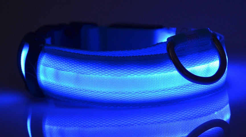 Detalle del collar LED recargable USB para perro de nailon — luz azul y textura del tejido en ambiente oscuro.