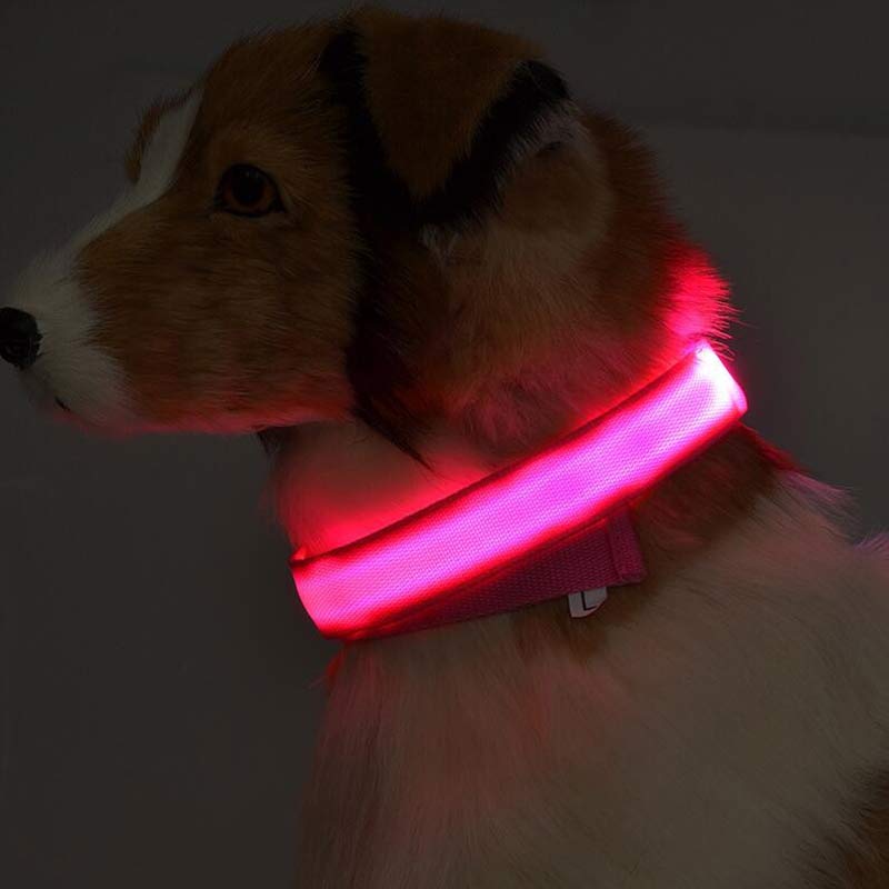 Perro con collar LED recargable USB de nailon en color rojo, en ambiente de poca luz para mejorar la visibilidad.