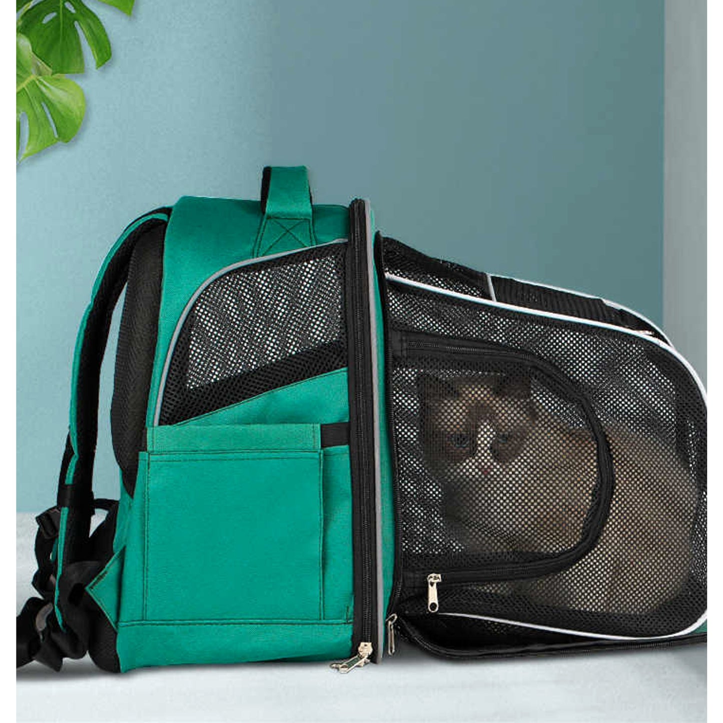 Mochila transportín TravelBubble, color verde, con gato dentro y paneles de malla ventilada, vista lateral.