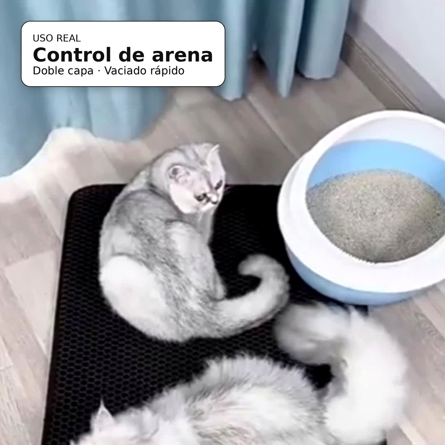 Alfombrilla atrapa-arena para gatos de doble capa EVA en uso real junto al arenero