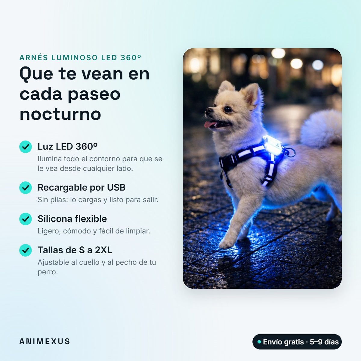 Arnés luminoso LED 360º para perro: recargable por USB, silicona flexible y tallas de S a 2XL