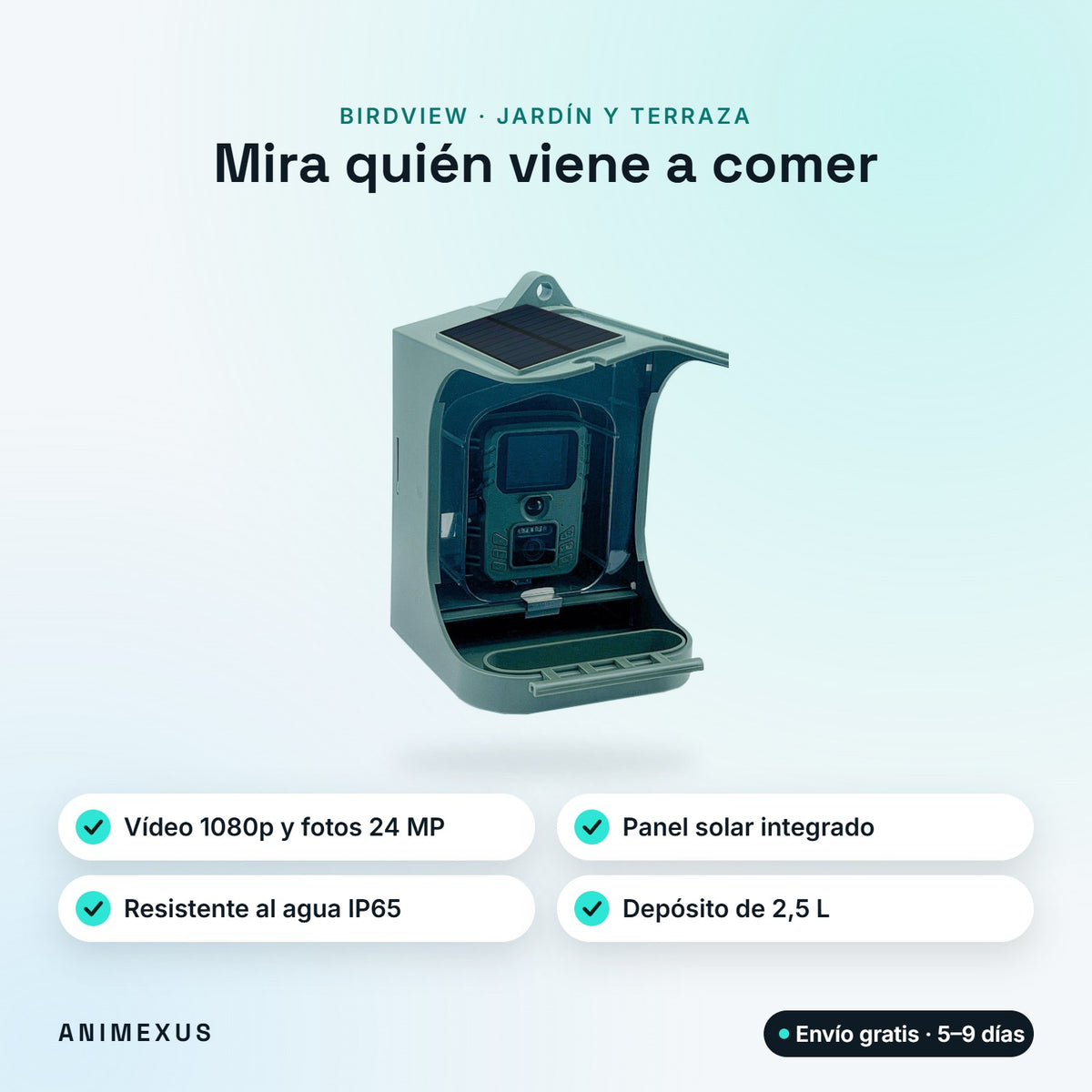 BirdView, comedero para pájaros con cámara 1080p, panel solar integrado, protección IP65 y depósito de 2,5 litros