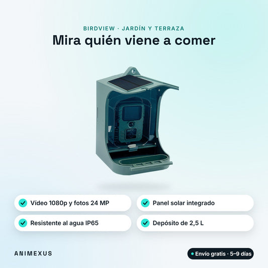 BirdView, comedero para pájaros con cámara 1080p, panel solar integrado, protección IP65 y depósito de 2,5 litros