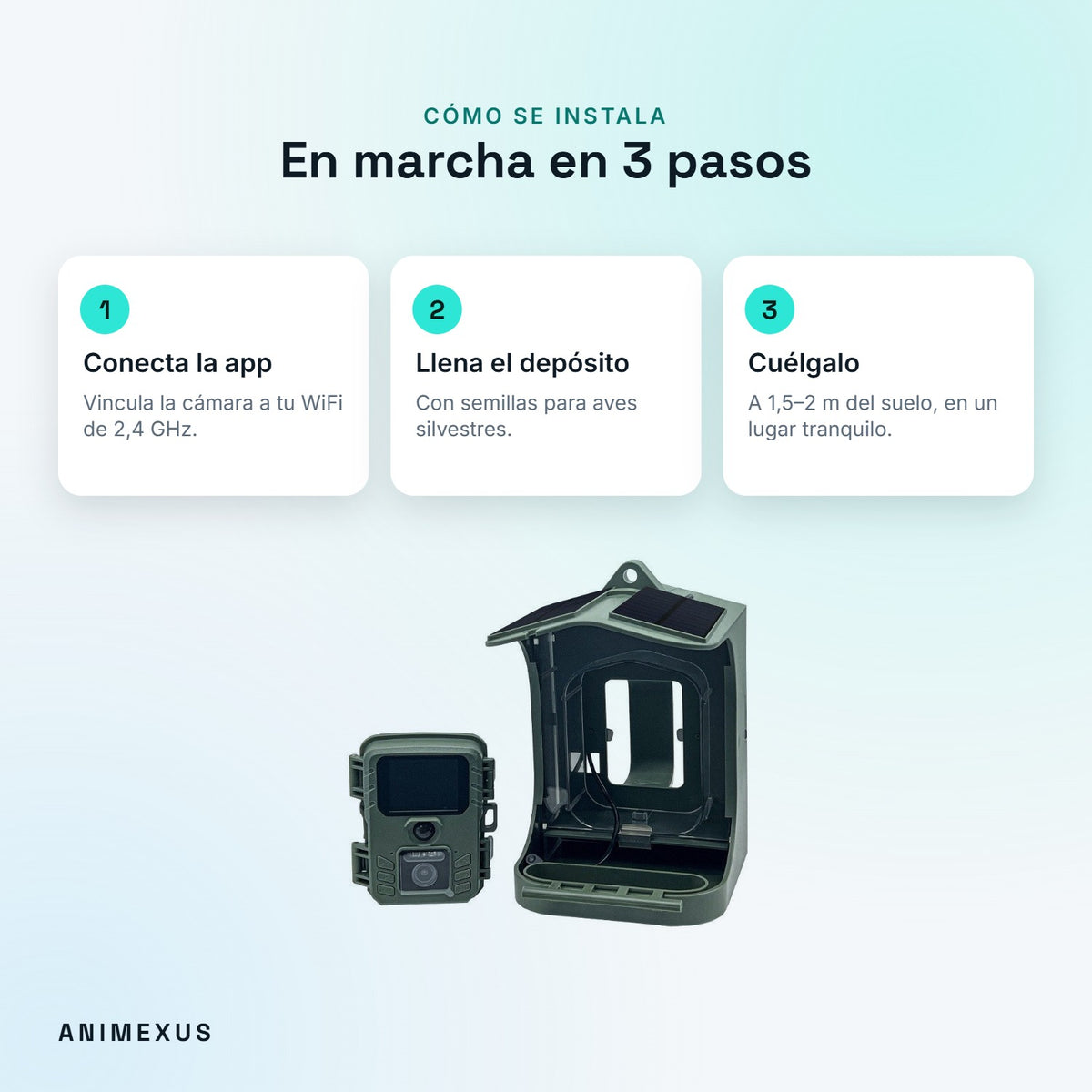 Cómo instalar BirdView: conectar la app al WiFi, llenar el depósito de semillas y colgarlo a 1,5–2 m del suelo