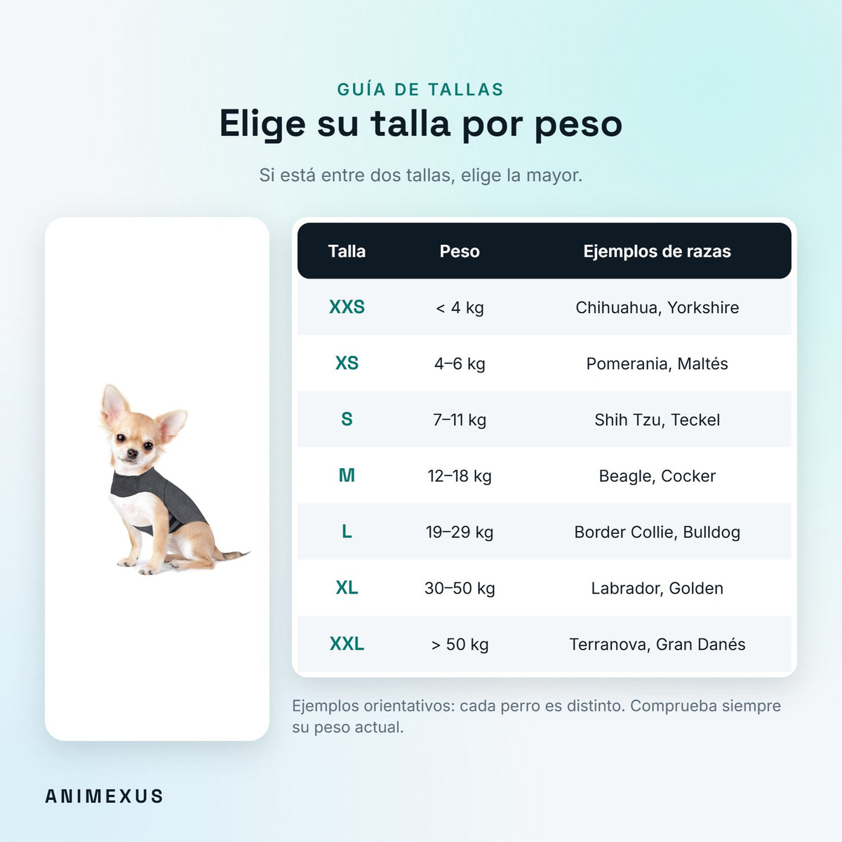 Guía de tallas del chaleco calmante CalmVest por peso del perro, de XXS (menos de 4 kg) a XXL (más de 50 kg)