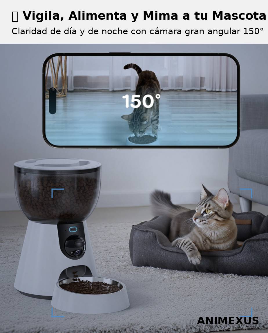 FeederCam Pro en interior junto a gato descansando