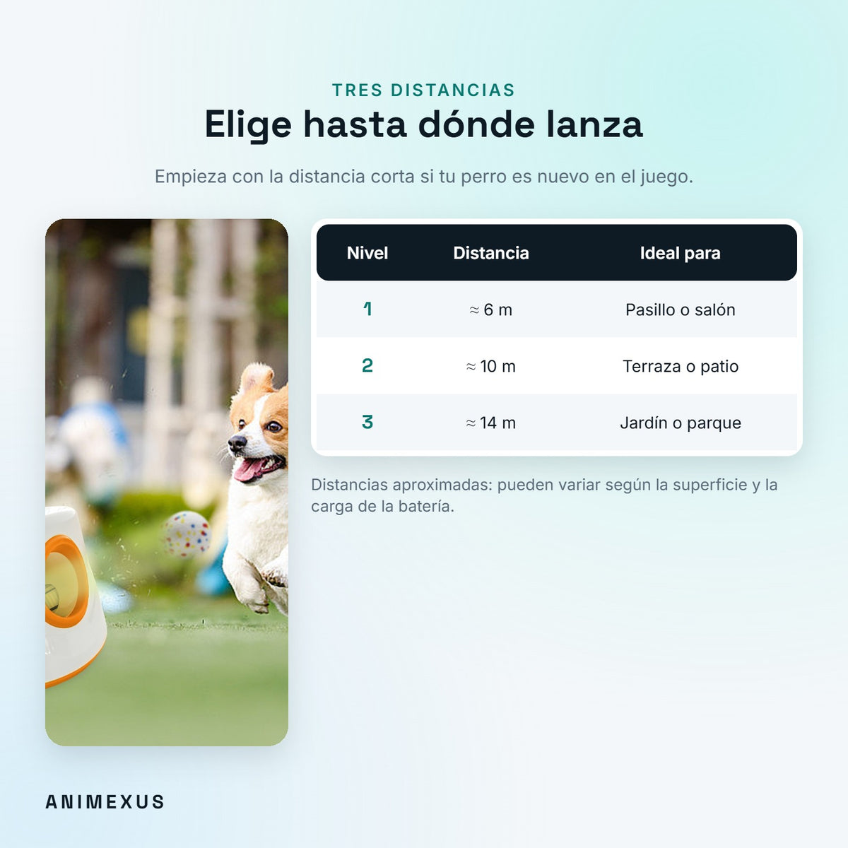 Distancias de lanzamiento de FetchGo: nivel 1 unos 6 m, nivel 2 unos 10 m y nivel 3 unos 14 m