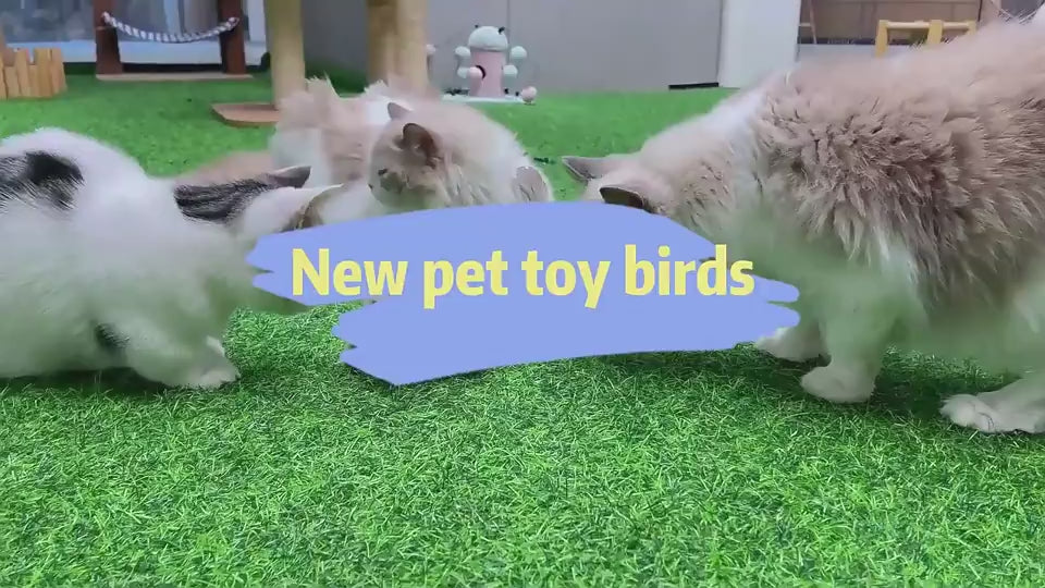 Vídeo: gatos jugando con los pájaros interactivos FlapBird