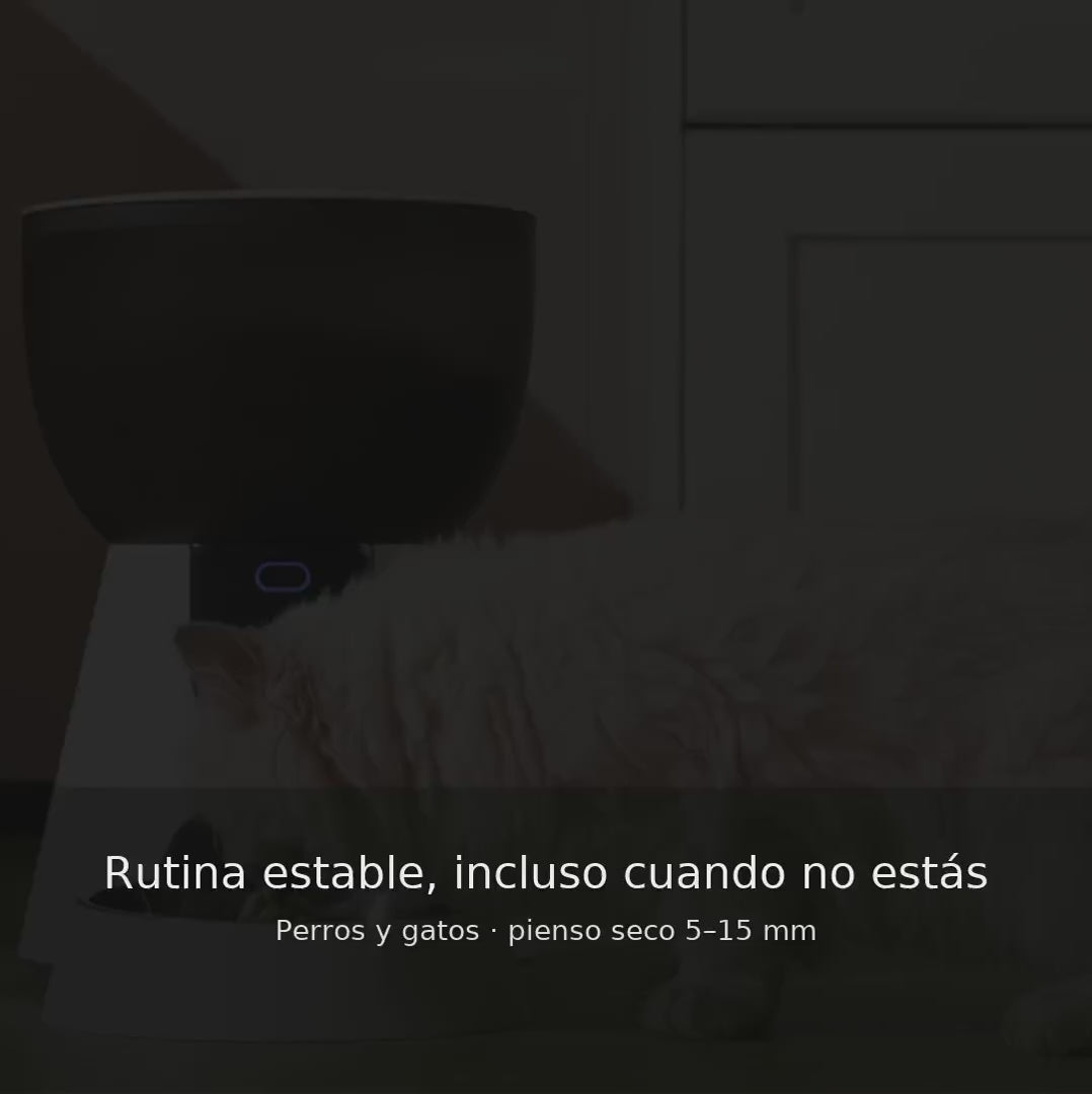 Vídeo: FeederCam Pro en uso (programación, cámara y alimentación)