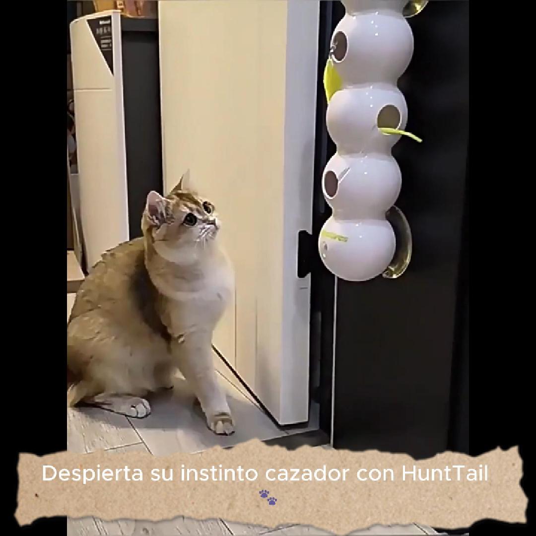 Gato usando el hunttail y viendo como se usa y se fija en un caso real