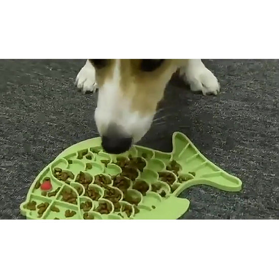 Vídeo: perro usando una alfombrilla para lamer de silicona en forma de pez.