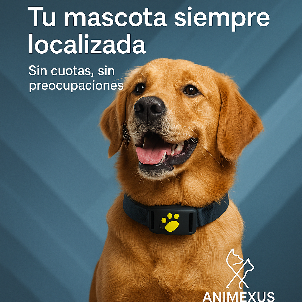 Creatividad promocional de Secure (imagen publicitaria). Perro feliz con el collar GPS Animexus Secure que permite localizar a tu mascota desde el móvil sin suscripciones, con rastreo en tiempo real y total seguridad.