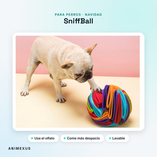 SniffBall, bola olfativa de tela con un perro buscando premios