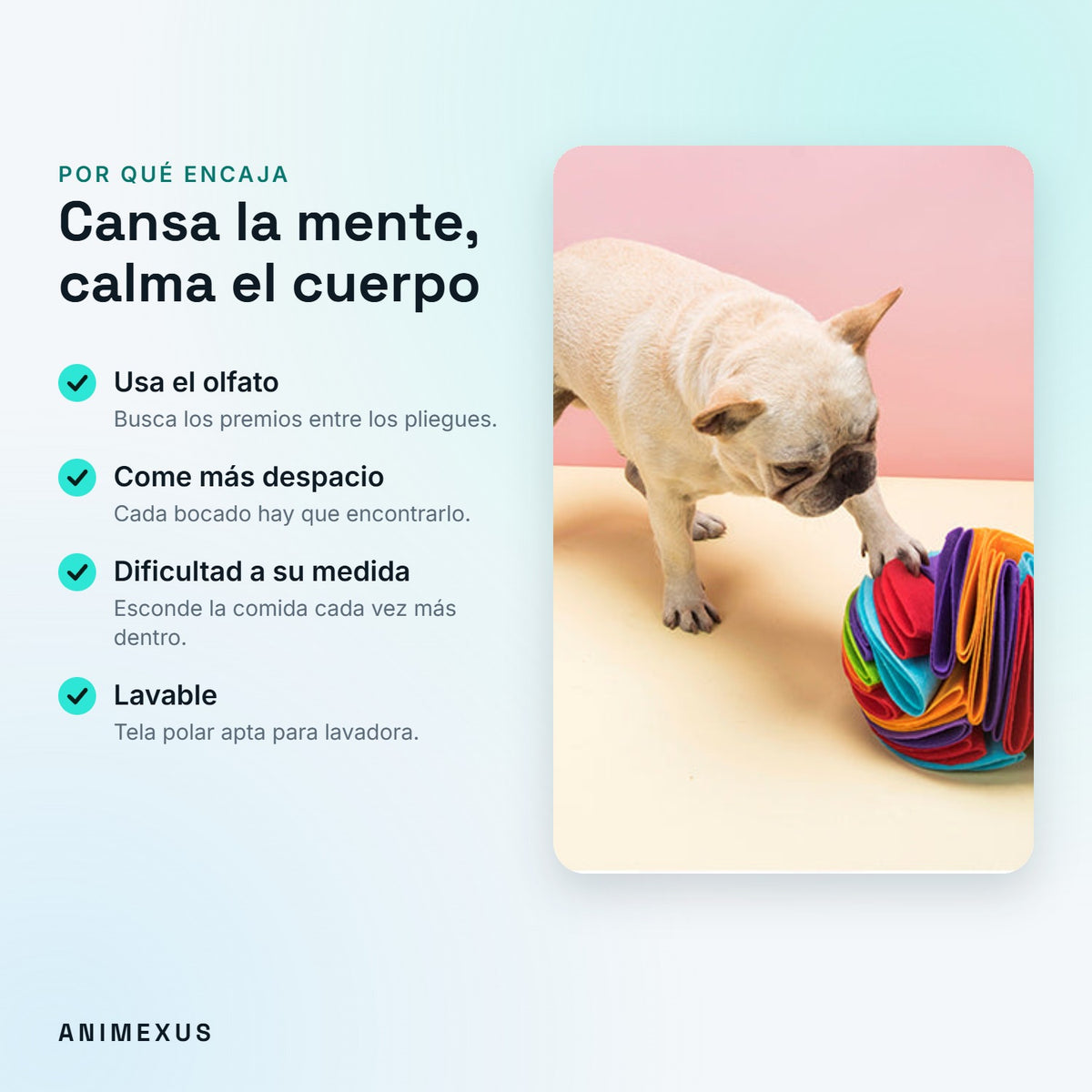 Ventajas de SniffBall: usa el olfato, come más despacio, dificultad ajustable y lavable
