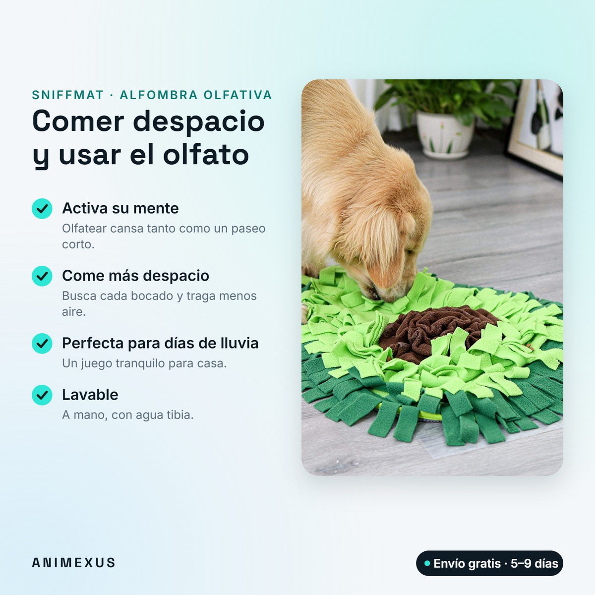 SniffMat, alfombra olfativa para perros: activa su mente, le ayuda a comer más despacio y es lavable