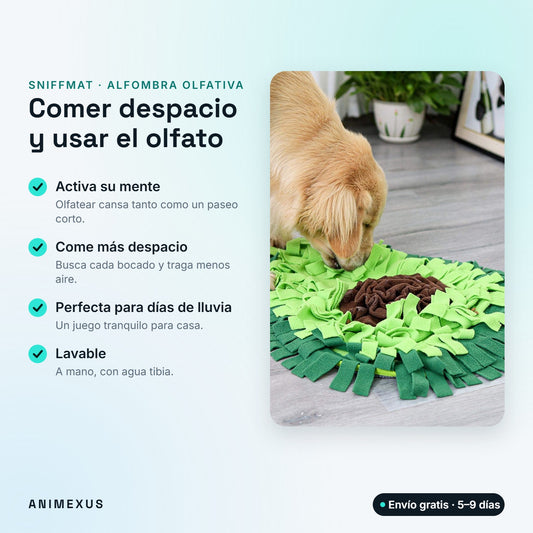 SniffMat, alfombra olfativa para perros: activa su mente, le ayuda a comer más despacio y es lavable