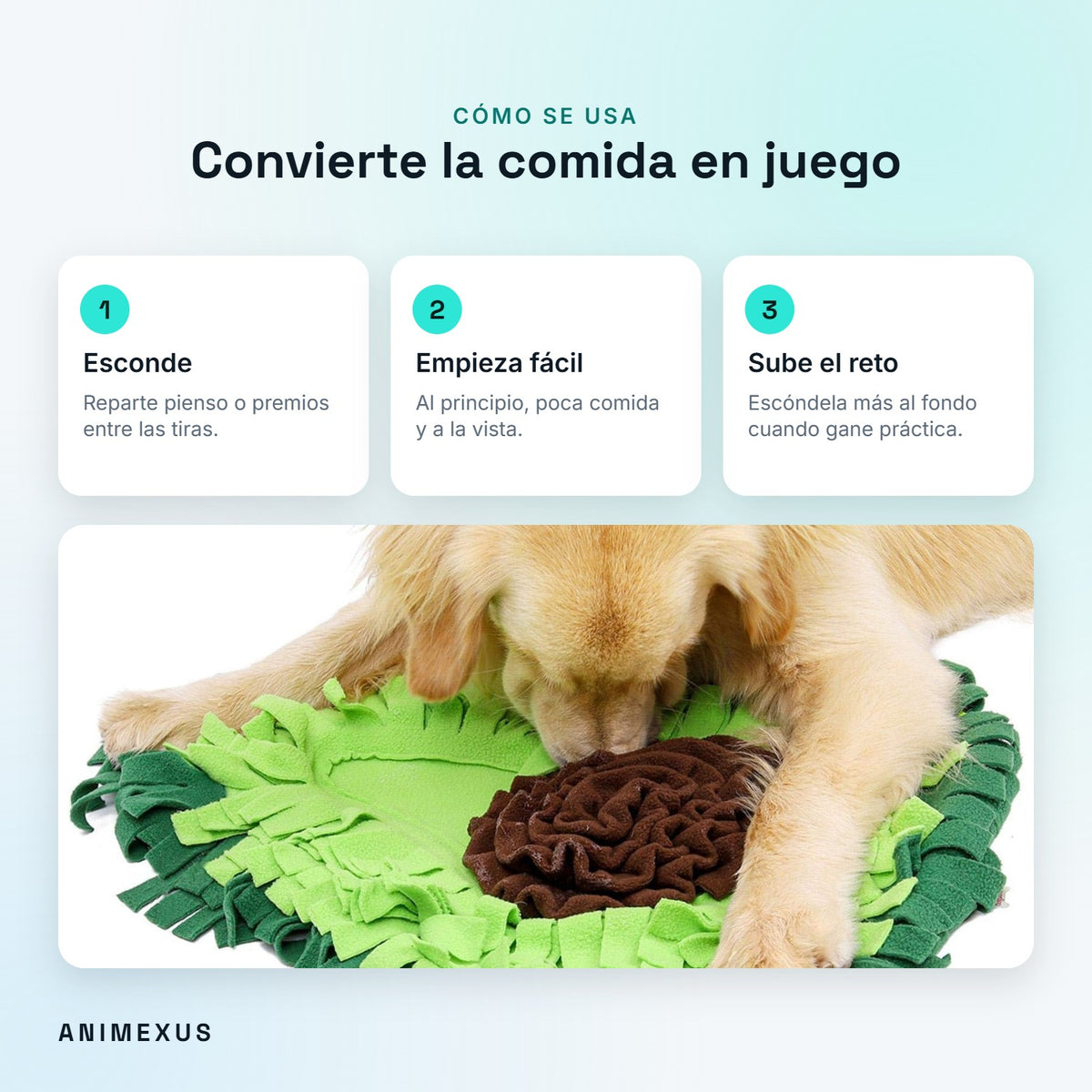 Cómo usar SniffMat: esconder pienso entre las tiras, empezar fácil y aumentar la dificultad poco a poco
