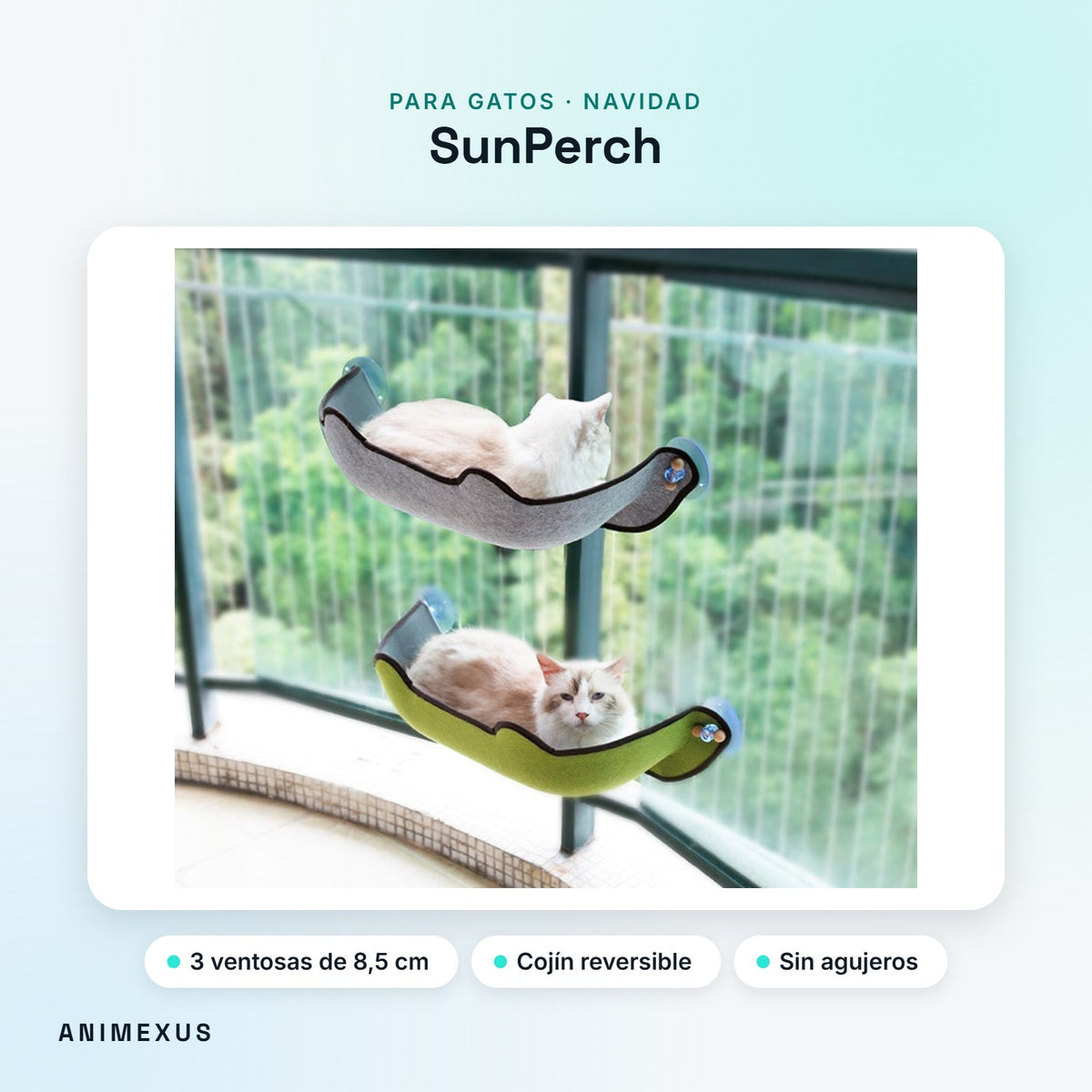 SunPerch, dos hamacas de ventana con gatos tumbados junto a un ventanal