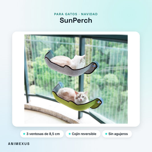 SunPerch, dos hamacas de ventana con gatos tumbados junto a un ventanal