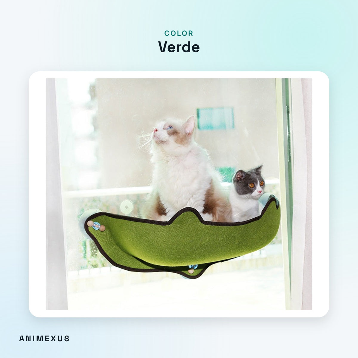 Hamaca de ventana SunPerch en color verde con dos gatos