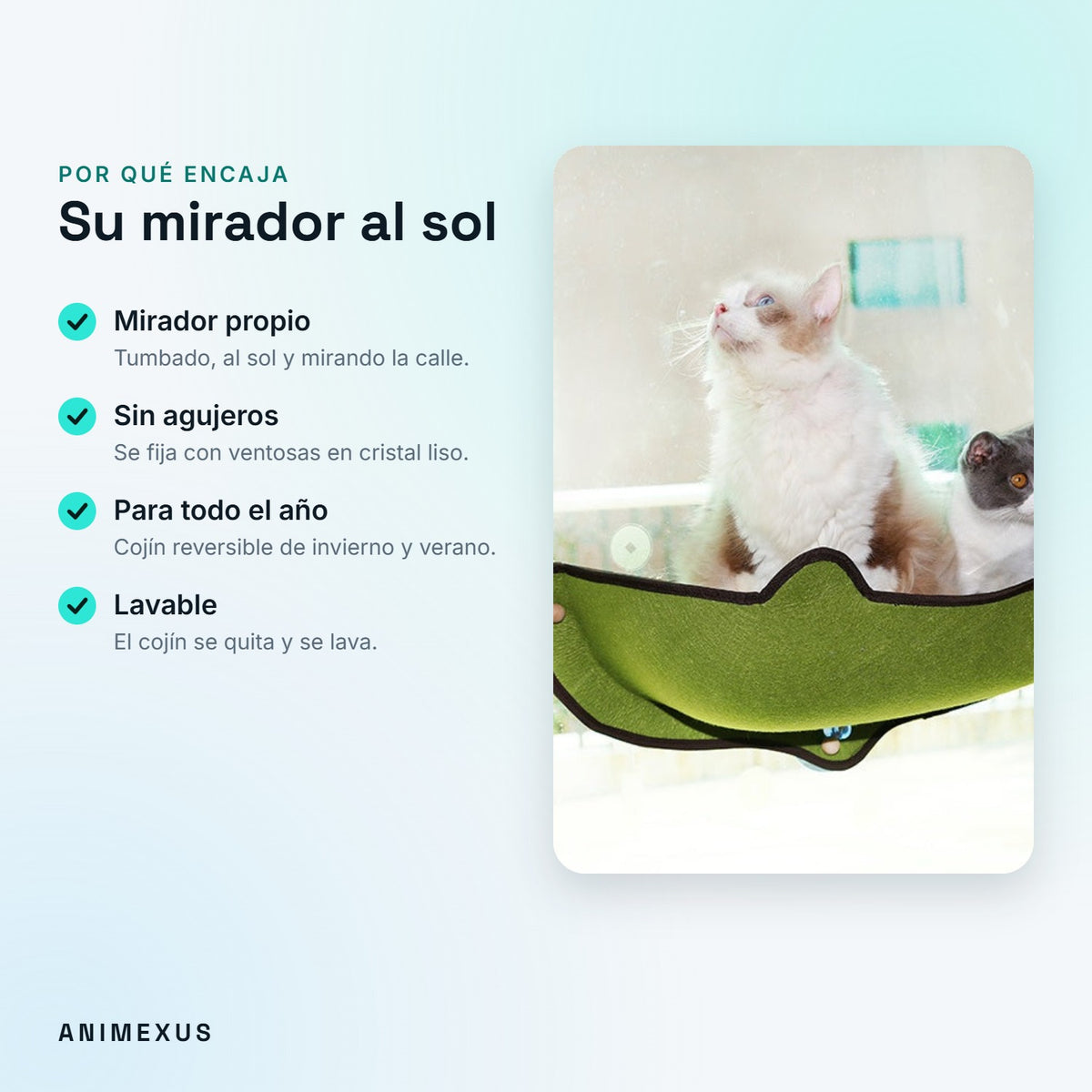 Ventajas de SunPerch: mirador propio, sin agujeros, para todo el año y cojín lavable