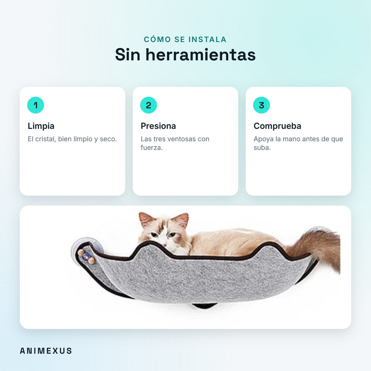 Cómo se instala SunPerch: limpiar el cristal, presionar las ventosas y comprobar